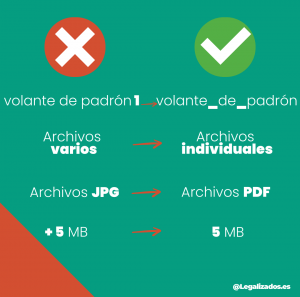 nacionalidad vía telematica